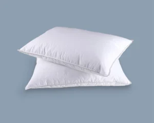 goose down feather pillow front